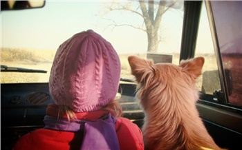 «Зебра» за безопасность детей: в Красноярске стартовал благотворительный марафон