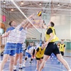 В Красноярске бизнесмены и госслужащие сразились в волейбол