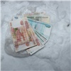 В Красноярском крае женщина обокрала друзей и закопала деньги в снегу