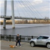 Крупные штрафы за «грязный» выгул собак в Красноярске откладываются