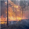 В Мотыгинском районе ввели режим ЧС из-за пожаров в лесах