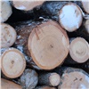 Первые лоты древесины от красноярских лесничеств проданы на бирже за 3 млн рублей