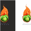 Кочан в огне: дизайнеры предложили Канску логотип