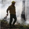Дым от лесных пожаров в Красноярском крае затягивает Бурятию