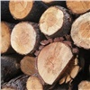 Краевые лесничества продали на бирже древесину на 9,7 млн рублей