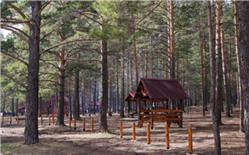 «День знаний для всей семьи»: как отметить 1 сентября в Красноярске 