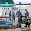 В Красноярском крае на свободу досрочно выпустят больше трех тысяч заключенных