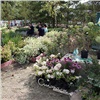В новом году мэр пообещал Красноярску ещё одну столичную «фишку» — фестиваль садов (видео)