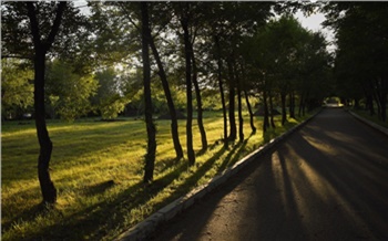 Дорожки, зелень и площадки для спорта: как в Красноярске обустраивают скверы 