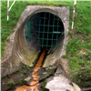 В коттеджном поселке под Красноярском канализационные отходы сливали в землю