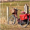 Серийный похититель велосипедов из Советского района и может отправиться в колонию на 5 лет 