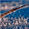 В первую неделю декабря по Красноярску ударят морозы под −40 °C