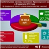 Почти треть расходов красноярцев приходится на еду 