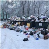 Ответственные за вывоз мусора объяснили, почему красноярские дворы завалены отходами