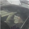 Красноярка поделилась видео с опасной поездкой ребенка в машине и вызвала шквал возмущения (видео)