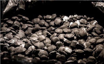 «Новые технологии на страже экологии»: важный разговор с разработчиками бездымного топлива 