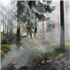 Красноярский край стал передовым в освоении новых методов борьбы с лесными пожарами