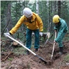 Министерство природы пообещало точнее прогнозировать лесные пожары в России