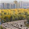 Рабочая неделя в Красноярске начнется с летнего тепла