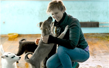 «Усыплять нельзя, чипирование не помогает, выход один — стерилизация»: как живется красноярскому приюту для животных