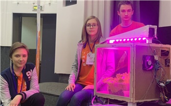 «Я выращу здесь что-нибудь сладенькое»: юные учёные Красноярска презентовали «умные» теплицы