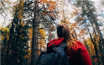 Вонь из туалетов, машины на тропинках и закрытые места для отдыха: топ претензий к красноярским «Столбам»