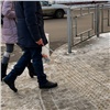 Самое интересное в Красноярске за 17 января: обледеневшие тротуары, тишина на Караульной горе и «реанимированные» качели