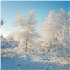 В начале недели по Красноярску ударят морозы