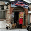 Стая бродячих псов захватила территорию возле магазина в Красноярске