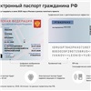 В России разрабатывают вид нового электронного паспорта размером с банковскую карту 