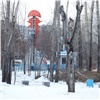 Самое интересное в Красноярске за 29 января: уродливые пни, прогнозы о вирусе и столетняя хроника авто