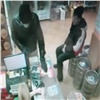 Продавщица из Тасеево отдала выручку магазина напавшему на ее мужа грабителю (видео)