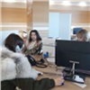 В красноярском Центре «Мой бизнес» предприниматели бесплатно получат помощь юристов