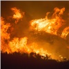 За сутки в лесах Красноярского края потушили 7 пожаров