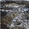 Красноярцам придется заплатить более 200 тысяч за стихийную свалку в Покровке. Среди мусора были даже шкуры коров