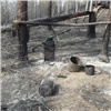 Житель края хотел растопить смолу и спалил лес