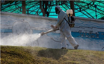 «Клещи в городе!»: почему тысячи красноярцев страдают от укусов, а обработку начали только сейчас?