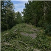 Жительница Красноярска попросила губернатора и мэра остановить вырубку деревьев у «Южного берега»