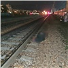 Пьяный красноярец присел отдохнуть на рельсы и попал под поезд