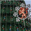 Одну из самых высоких новогодних ёлок Красноярска перевезут в Зеленую Рощу