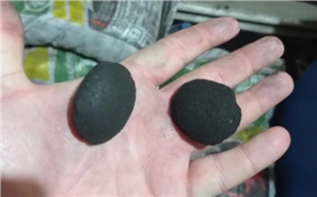 «Теперь буду топить только бездымным»: что думают жители частных домов об инновационном топливе «Сибирский брикет»