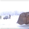 В Емельяновском районе автолюбитель решил проехать в магазин по полевой дороге и застрял в снегу. Помогла полиция (видео)