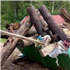«Баба-Яга, пианино и бревенчатый сруб»: красноярцам показали неожиданные находки в мусорных контейнерах