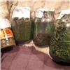 Почти полкилограмма марихуаны изъяли у жителя Курагинского района. Хранил у себя дома