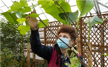 «Издержки сокращаются, выручка растёт»: краевые предприятия продолжают участвовать в нацпроекте по повышению производительности