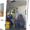 В Красноярске стартовала бесплатная вакцинация животных от бешенства