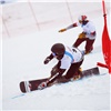 В Красноярске на Первенстве мира по фристайлу и сноуборду россияне выиграли три «золота»