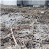 В центре Красноярска неизвестные залили газон бетоном 