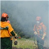 В Красноярском крае потушили первый в этом сезоне лесной пожар