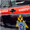 В Кемерово охранница школы избила щелкающего семечки 5-классника. Возбудили уголовное дело (видео)